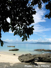 Image Image